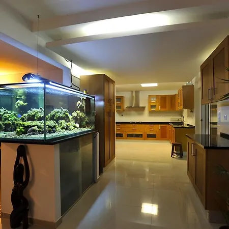 Surf House 2*